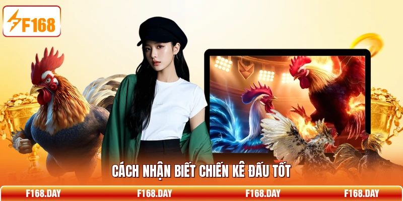 Cách nhận biết chiến kê đấu tốt