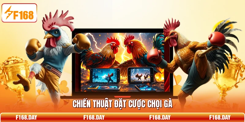 Chiến thuật đặt cược chọi gà