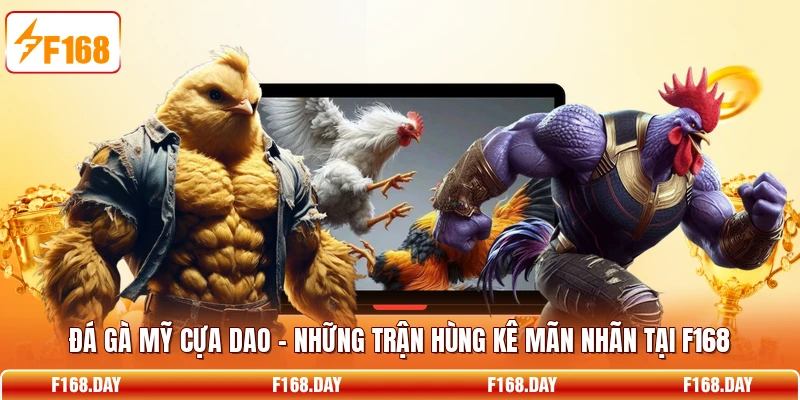 Đá Gà Mỹ Cựa Dao – Những Trận Hùng Kê Mãn Nhãn Tại F168