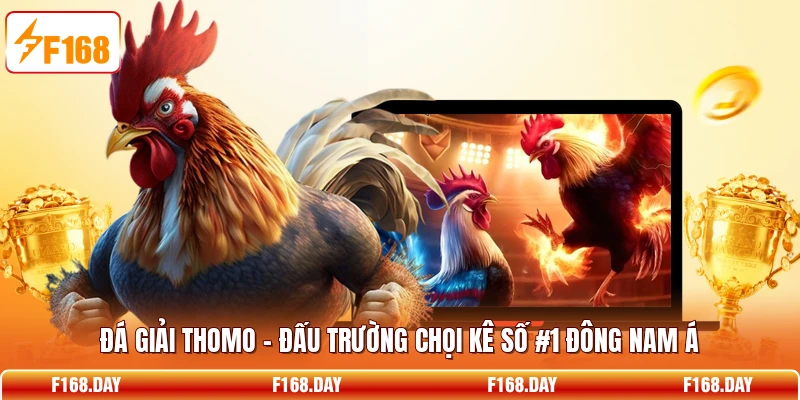 Đá Giải Thomo – Đấu Trường Chọi Kê Số #1 Đông Nam Á