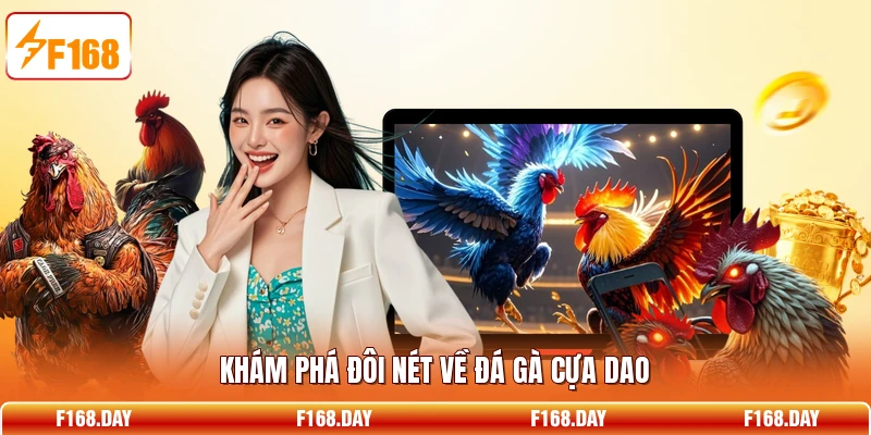 Khám phá đôi nét về đá gà cựa dao