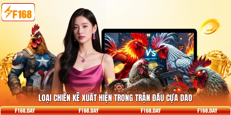 Loại chiến kê xuất hiện trong trận đấu cựa dao