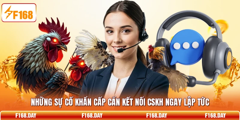 Những sự cố khẩn cấp cần kết nối CSKH ngay lập tức