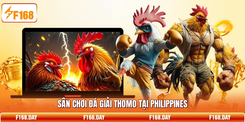Sân chơi đá giải Thomo tại Philippines