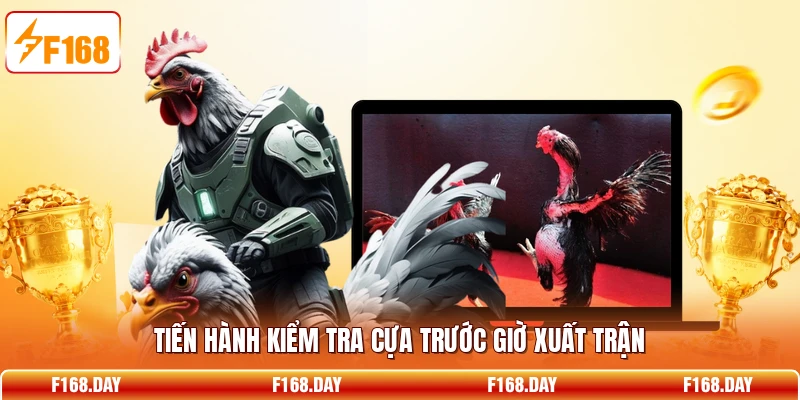 Tiến hành kiểm tra cựa trước giờ xuất trận